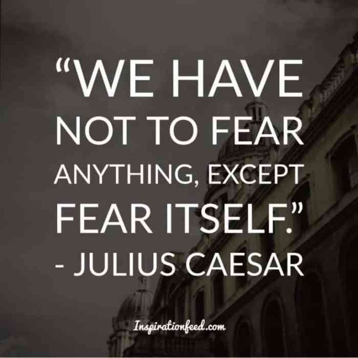 Fear not shakespeare julius caesar