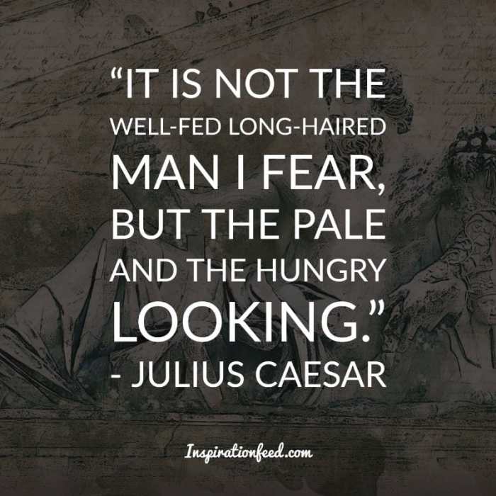 Fear not shakespeare julius caesar