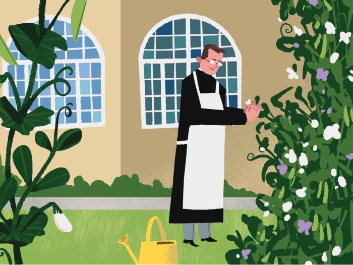 Gregor mendel and his peas questions