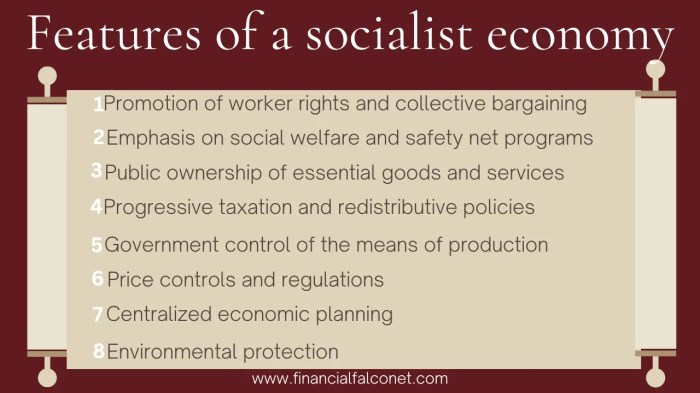 Which individual would tend to favor a socialist economy